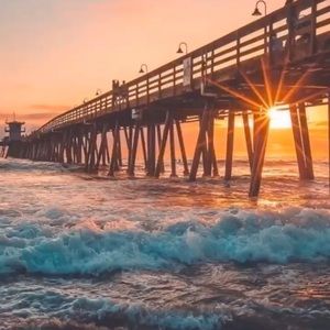 Meet your Posher, Ally